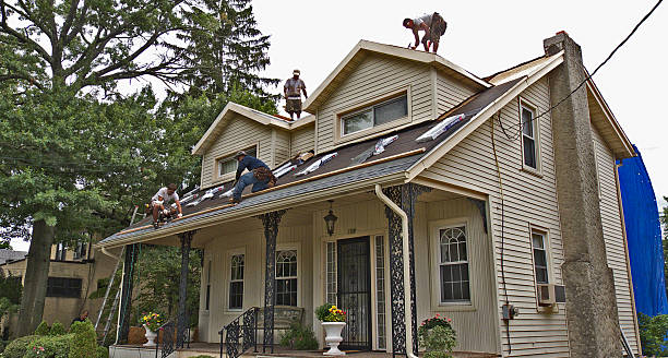 Roof Gutter Cleaning in Saddlebrooke, AZ